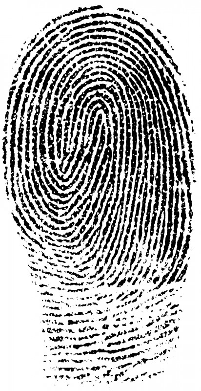 Fingerprint_(PSF)